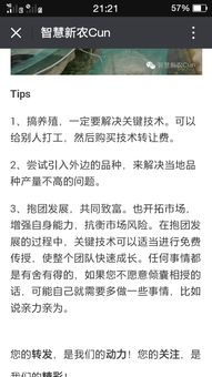 技术转让费 解锁知识产权的价值钥匙